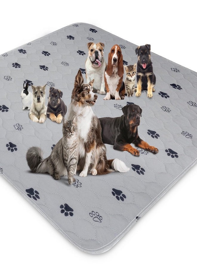 جو جرين فوط تدريب الحيوانات الأليفة المقاومة للماء والقابلة لإعادة الاستخدام من GOGREEN، فوط تدريب قابلة للغسل للكلاب والجراء، فوط تدريب على استخدام المرحاض مع قاعدة مانعة للتسرب (عبوة واحدة، 72 بوصة × 72 بوصة) - Image 1