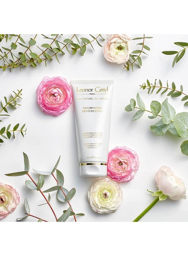 Leonor Greyl Paris Shampooing Reviviscence Specific Shampoo For Dehydrated Damaged And Brittle Hair Moisturizing And Hydrating Shampoo (6.7 Oz) - Image 3