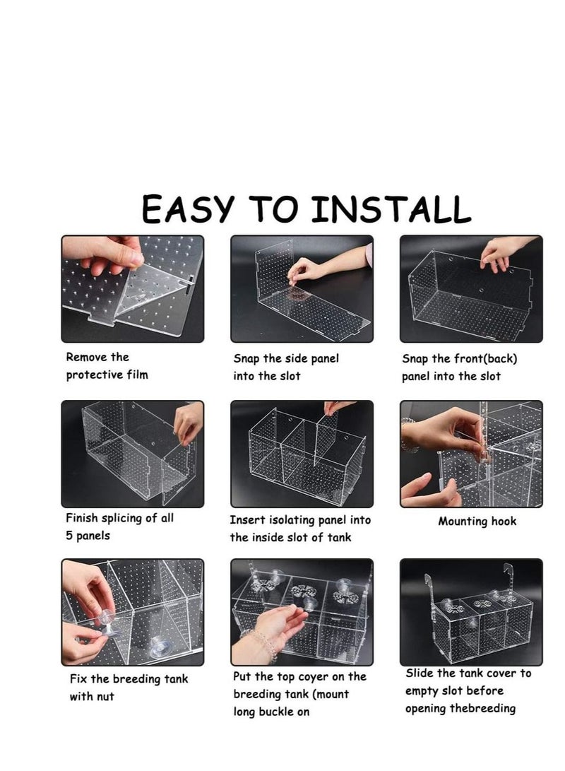 Acrylic Fish Breeding Box (20 x 10 x 10 cm) - Baby Fish Partition - Fish isolation Box With Cover - Image 4