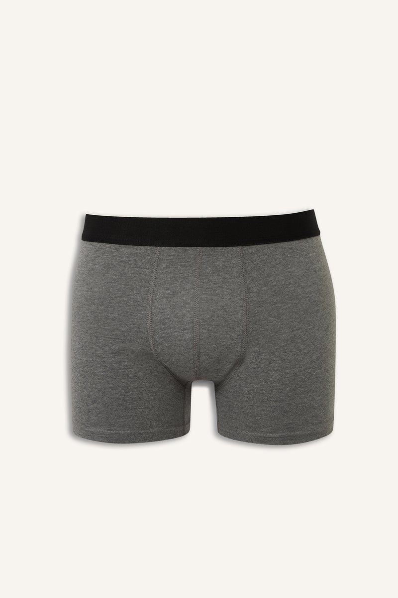 ديفاكتو بوكسر قصة عادية بطبعة فاكهة - 3 قطع - Image 5