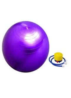 Yoga Fitness Exercise Ball With Air Pump - pzsku/Z93B54C64D18EA83506C9Z/45/_/1707569852/13f84ad3-3f35-4415-9308-180fc98caacf