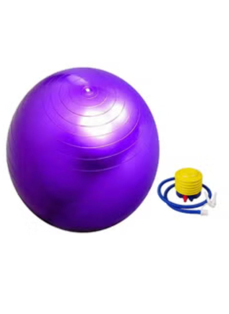 Yoga Fitness Exercise Ball With Air Pump - pzsku/Z93B54C64D18EA83506C9Z/45/_/1707569852/13f84ad3-3f35-4415-9308-180fc98caacf