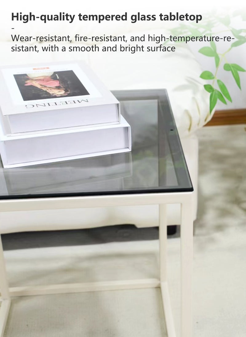 Simple Modern Square Mother-and-Child Tea Table Combination, Tempered Glass Metal Frame Coffee Tea Table