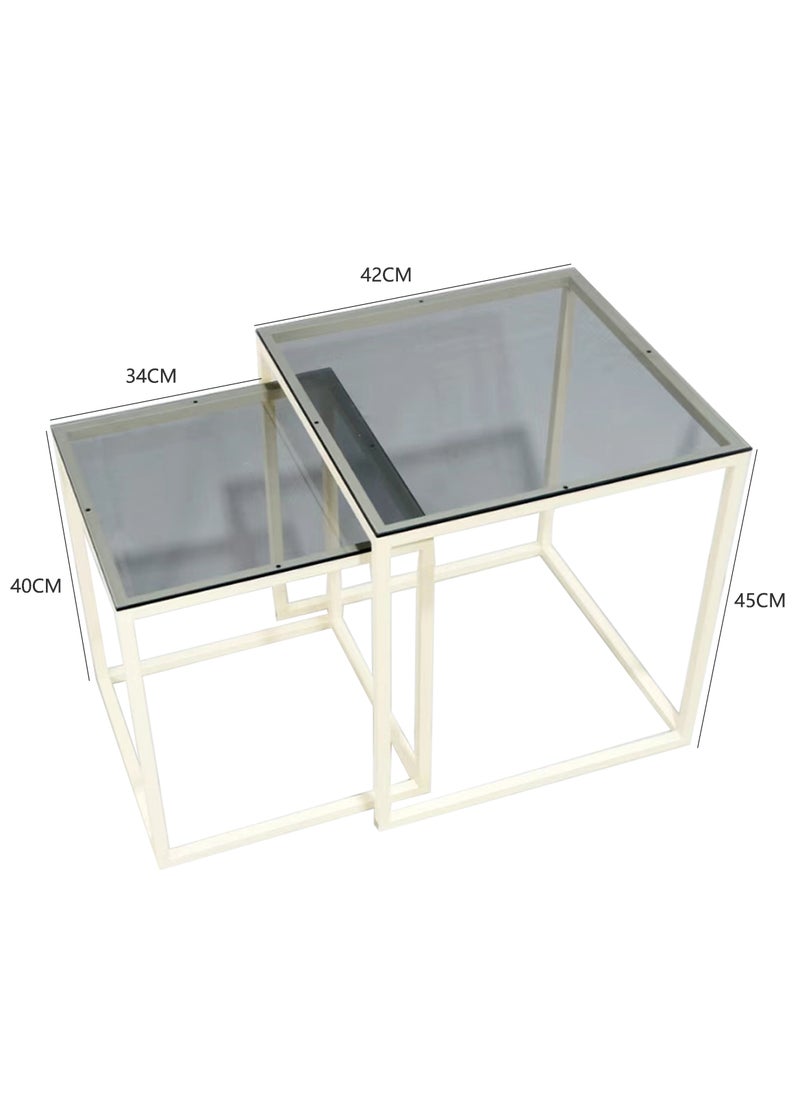 Simple Modern Square Mother-and-Child Tea Table Combination, Tempered Glass Metal Frame Coffee Tea Table