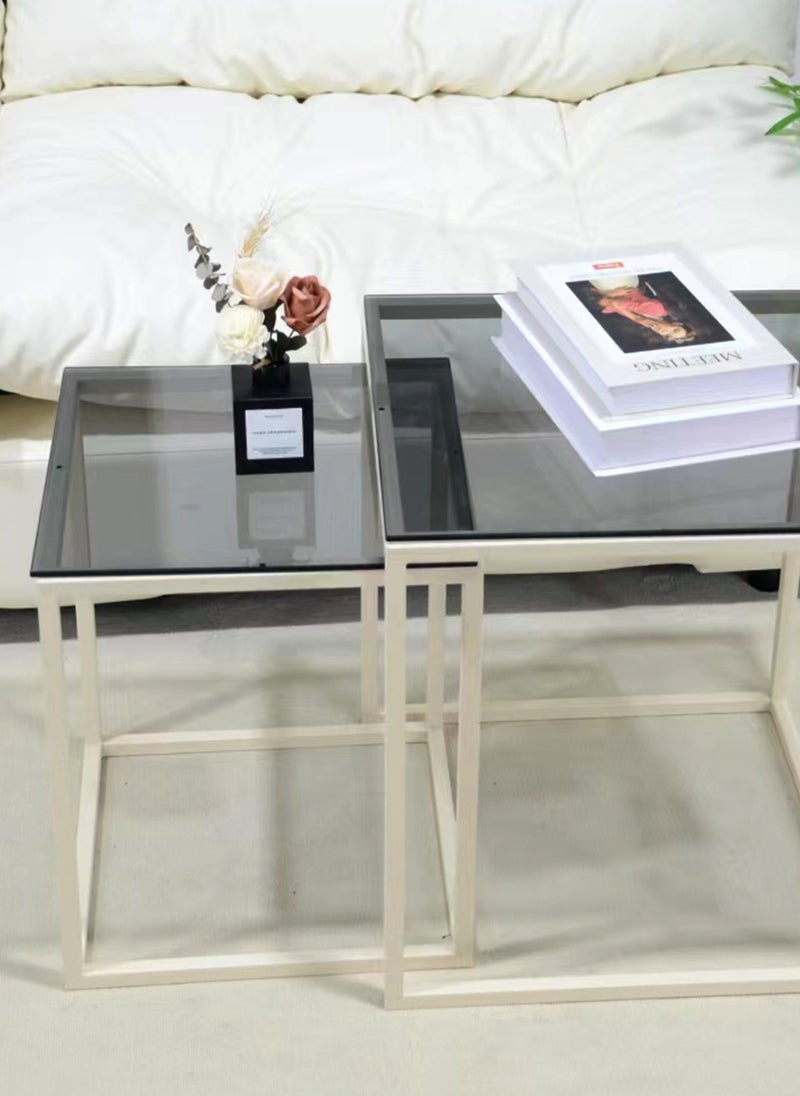 Simple Modern Square Mother-and-Child Tea Table Combination, Tempered Glass Metal Frame Coffee Tea Table