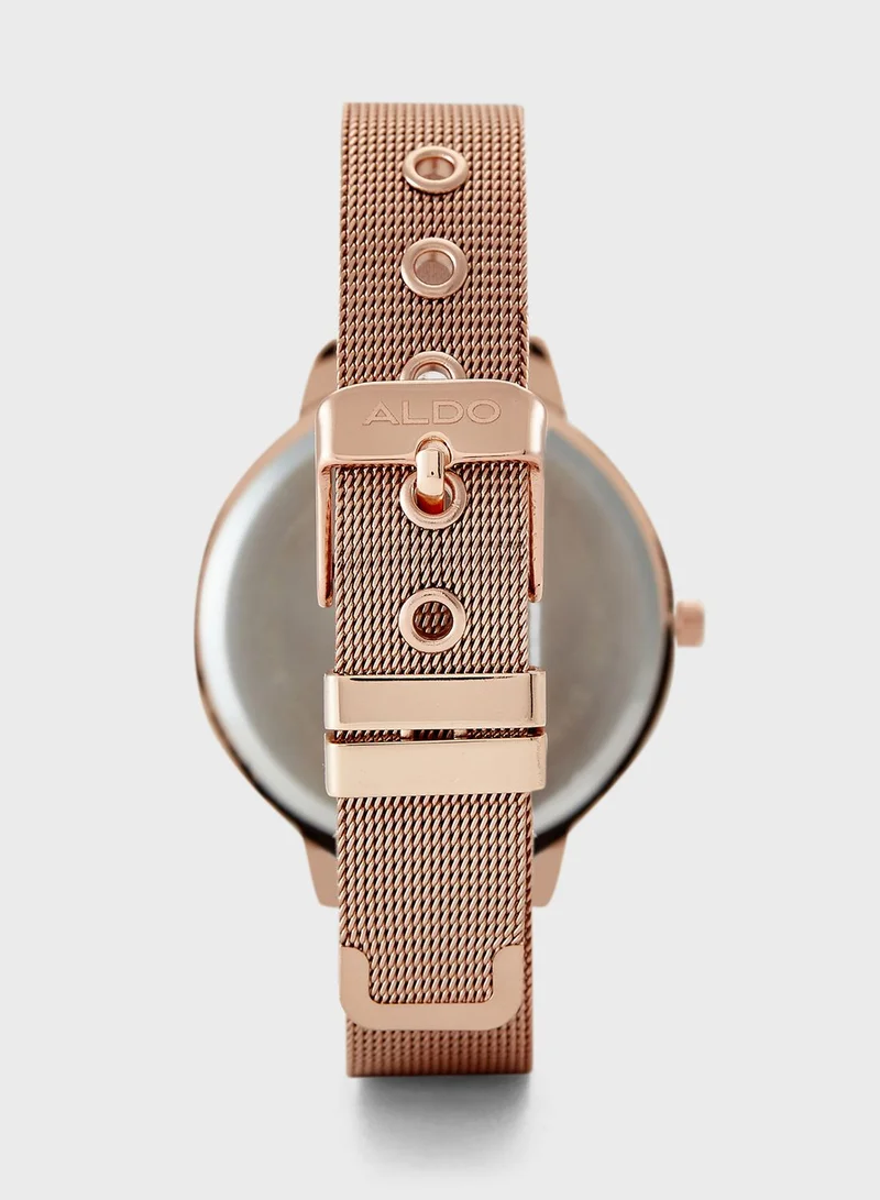 ALDO Queenscroft Analog Watch