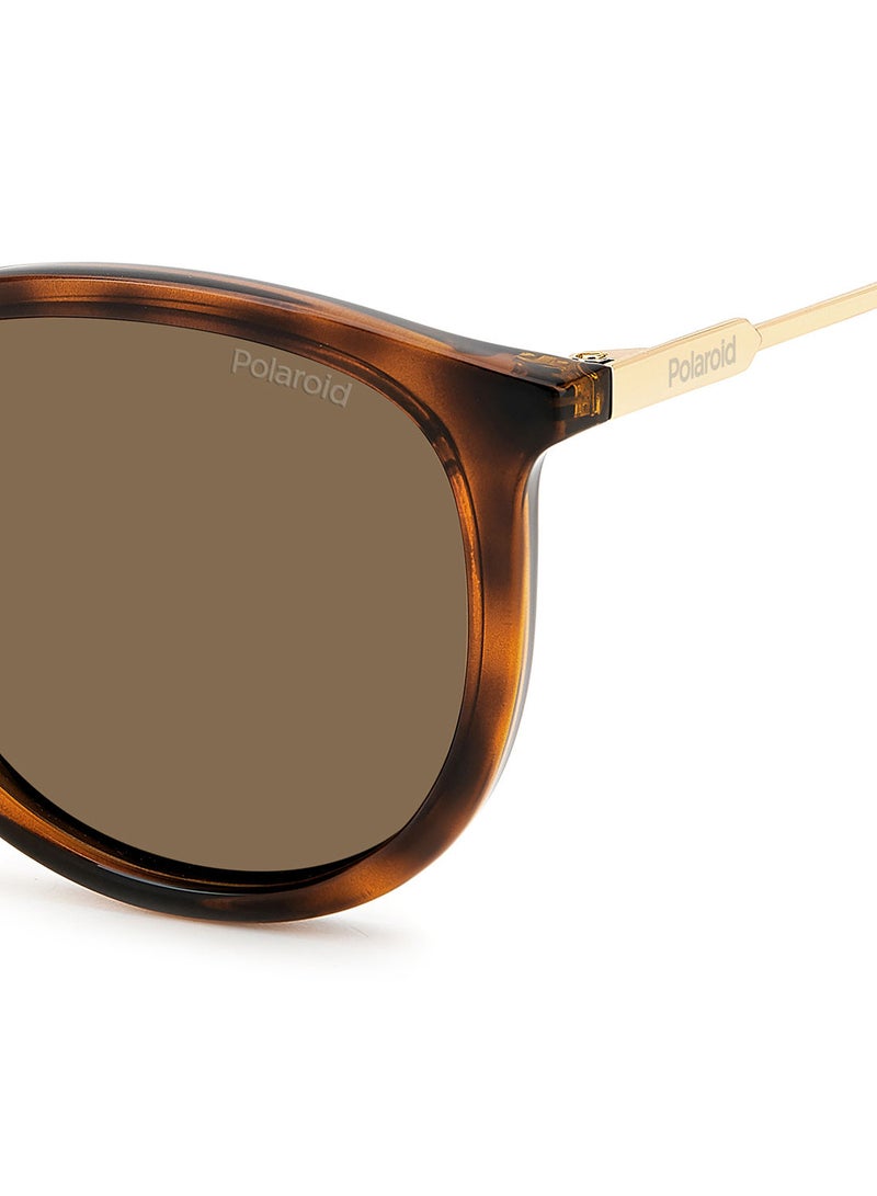 Polaroid Unisex UV Protection Round Sunglasses - Pld 4143/S/X Hvn 53 - Lens Size: 53 Mm - Image 5