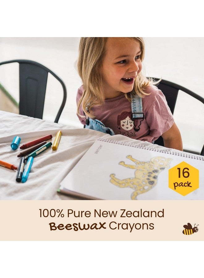 Honeysticks ألوان شمعية عملاقة (16 عبوة) 100% شمع عسل نقي ألوان غير سامة للأطفال ألوان كبيرة، سهلة الحمل والاستخدام، غير قابلة للكسر، صديقة للبيئة، مستلزمات فنون رياض الأطفال، للأطفال 24، 48 - Image 3