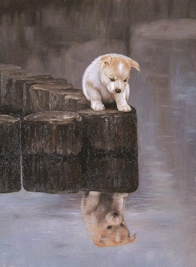 Tomax How Do I Do? 500 Piece Puppy Jigsaw Puzzle