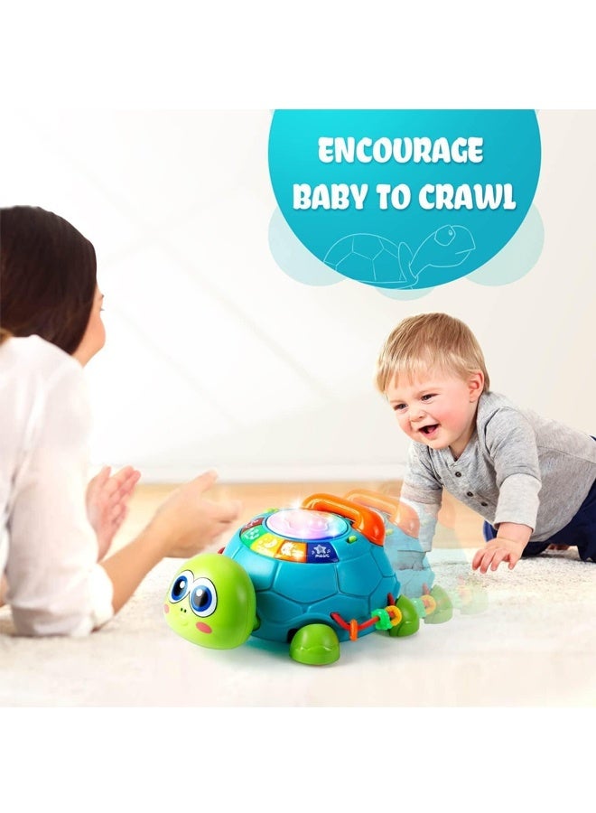 هالامودو لعبة السلاحف الزحفة الموسيقية التعليمية الضوئية - للأطفال الصغار 3+ سنوات - لعبة الزحف في البطن مع أضواء ملونة ، 10+ أقاطع الحضانة وأزرار تفاعلية - للتنمية الحسية وهدايا عيد الميلاد - Image 2