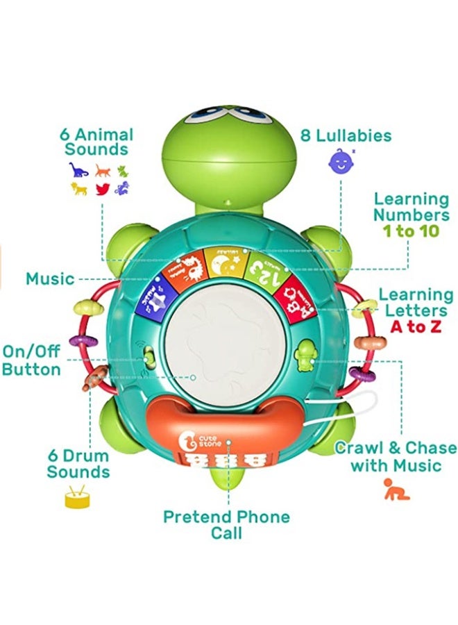 هالامودو لعبة السلاحف الزحفة الموسيقية التعليمية الضوئية - للأطفال الصغار 3+ سنوات - لعبة الزحف في البطن مع أضواء ملونة ، 10+ أقاطع الحضانة وأزرار تفاعلية - للتنمية الحسية وهدايا عيد الميلاد - Image 5