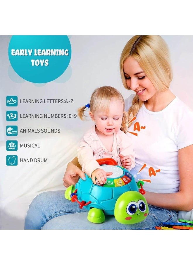 هالامودو لعبة السلاحف الزحفة الموسيقية التعليمية الضوئية - للأطفال الصغار 3+ سنوات - لعبة الزحف في البطن مع أضواء ملونة ، 10+ أقاطع الحضانة وأزرار تفاعلية - للتنمية الحسية وهدايا عيد الميلاد - Image 4