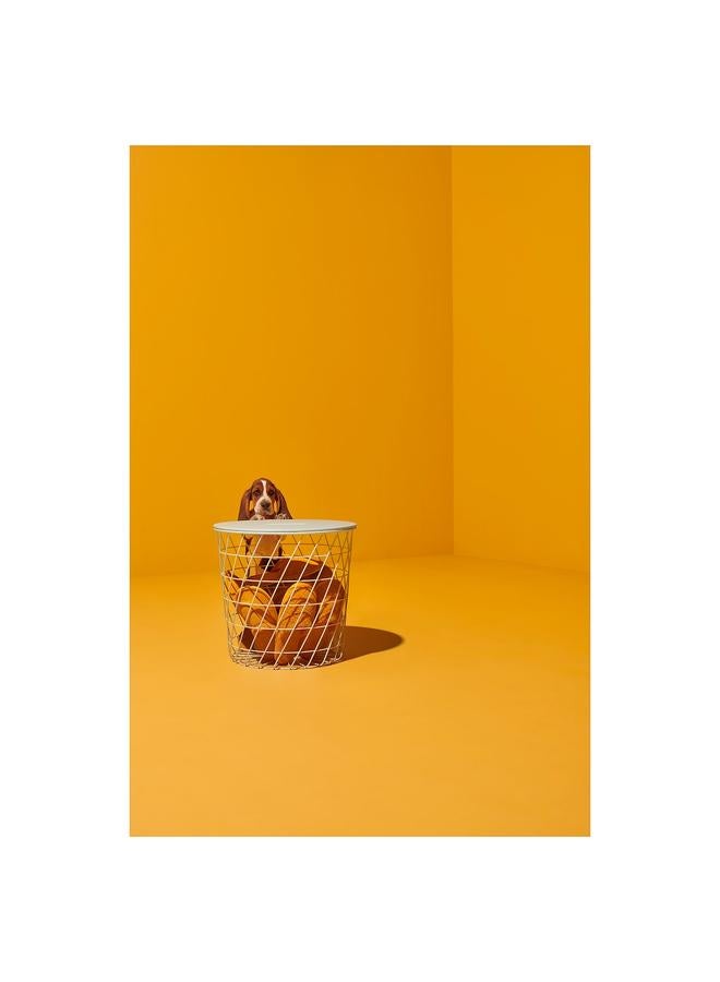 زبون طاولة تخزين، بيضاء، 44 سم - Image 3