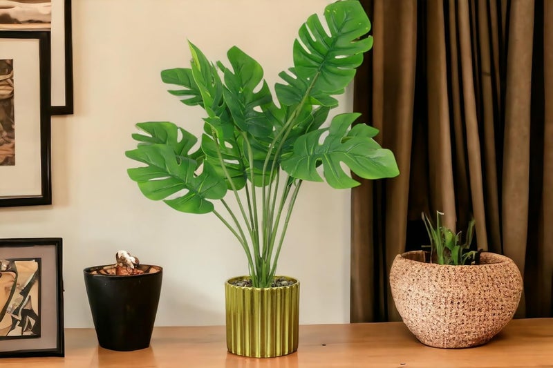 HOME ELEMENTS 1 Pc Artificial Monstera Plant with Decorative Golden Pot Fake Tropical Green 12 Leaf Realistic Faux Plants for Decoration Living Room Interior Home Office Dimensions 8x35cm - Image 3