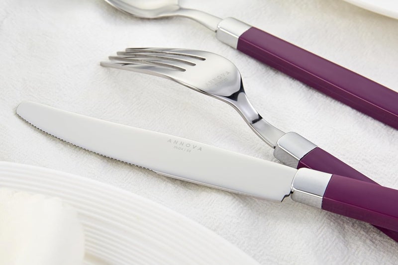 Annova ANNOVA Stainless Steel FlatwareCutlery Set  Color Handles  Dinner Forks Salad Forks Table Knives Tablespoons Teaspoons  Purple 20 Pieces - Image 4