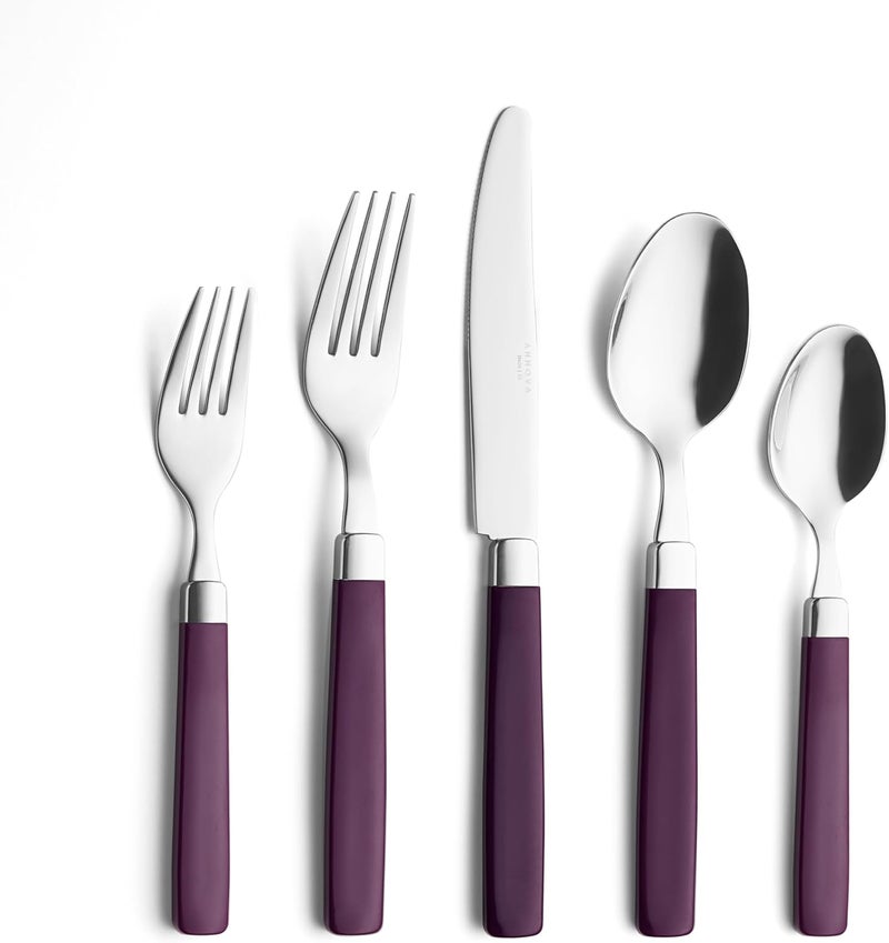 Annova ANNOVA Stainless Steel FlatwareCutlery Set  Color Handles  Dinner Forks Salad Forks Table Knives Tablespoons Teaspoons  Purple 20 Pieces - Image 1