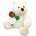 Dreplfn White Plush Teddy Bear with Rose 9 Cute Small Teddy Bear Soft Stuffed Animal Plush Doll for Valentines Wedding Anniversary Birthday Gift for Kids Girls Girlfriend Wife Mom - Image 2