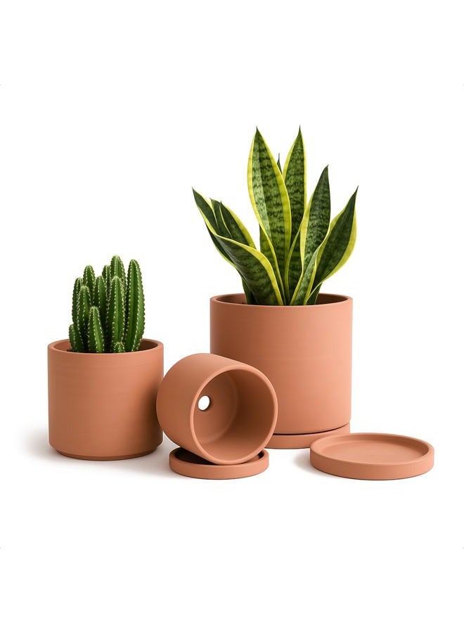 D'vine Dev Terracotta Pots for Plants, 4.2 Inch 5.3 Inch 6.5 Inch, Succulent Planter Pot with Drainage and Saucer, 40-A-T-1 - Image 1