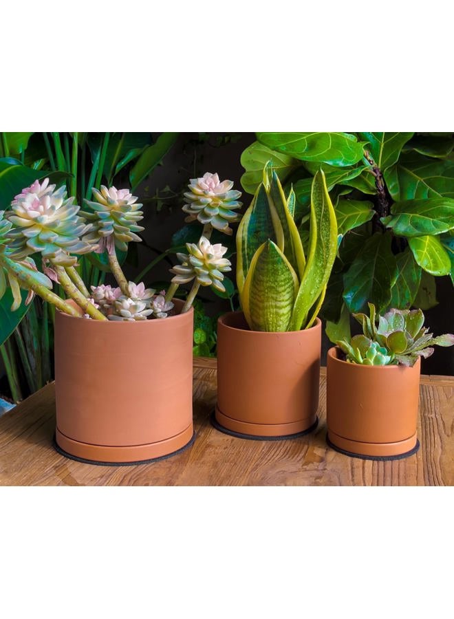 D'vine Dev Terracotta Pots for Plants, 4.2 Inch 5.3 Inch 6.5 Inch, Succulent Planter Pot with Drainage and Saucer, 40-A-T-1 - Image 2