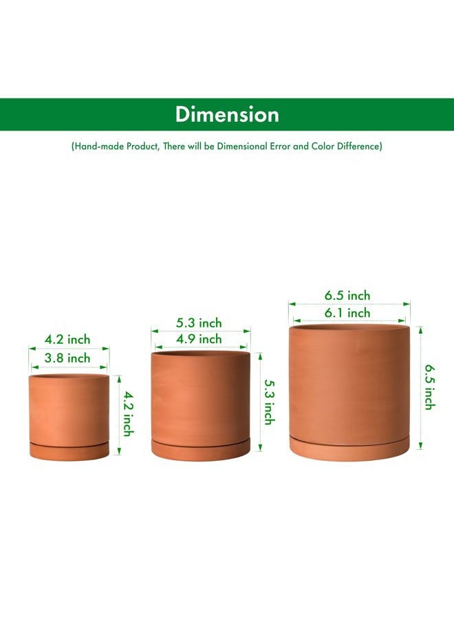 D'vine Dev Terracotta Pots for Plants, 4.2 Inch 5.3 Inch 6.5 Inch, Succulent Planter Pot with Drainage and Saucer, 40-A-T-1 - Image 4