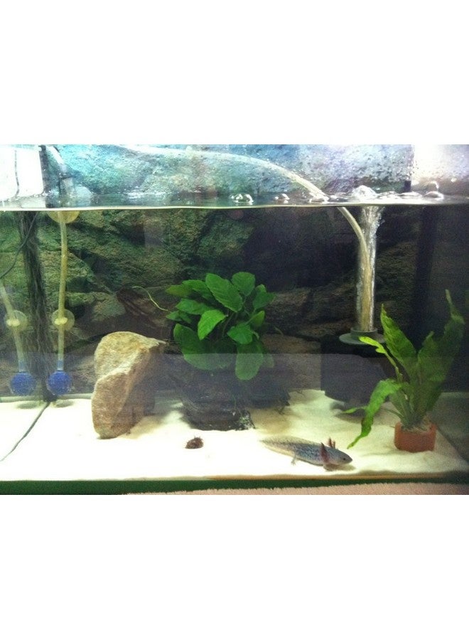 SOBO Sb-933 Aquarium Sponge Filter (X-Small) - Image 3