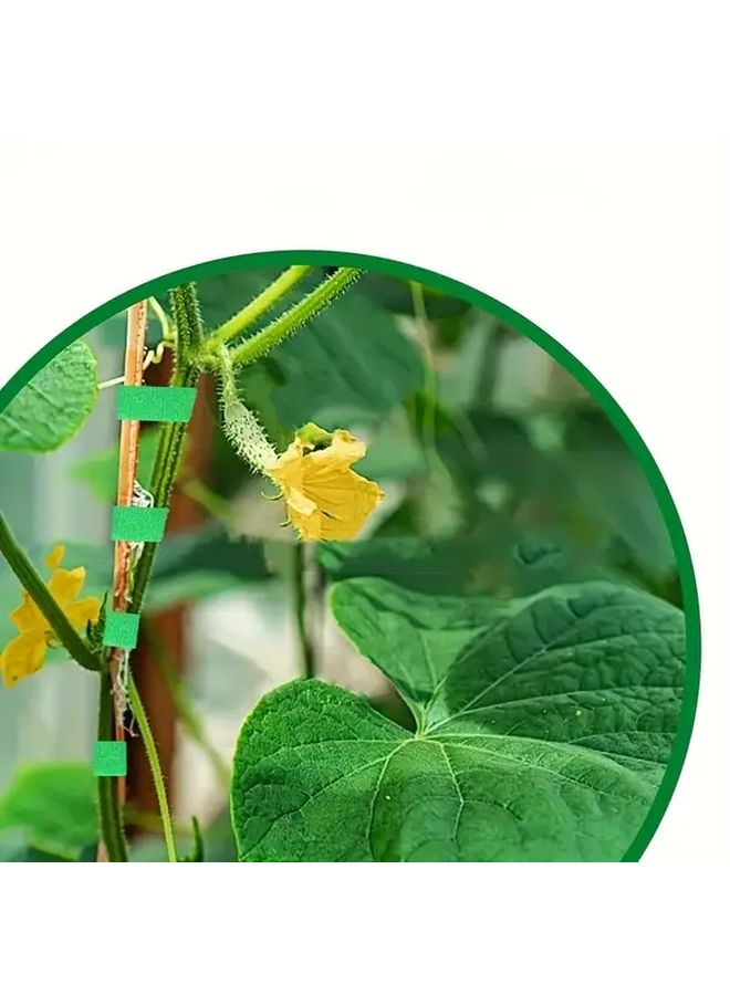 2 Rolls Adjustable Self Adhesive Nylon Green Plant Ties for Climbing Plants Flowers Reusable Rope Alternative Indoor Outdoor Use Green - Image 2