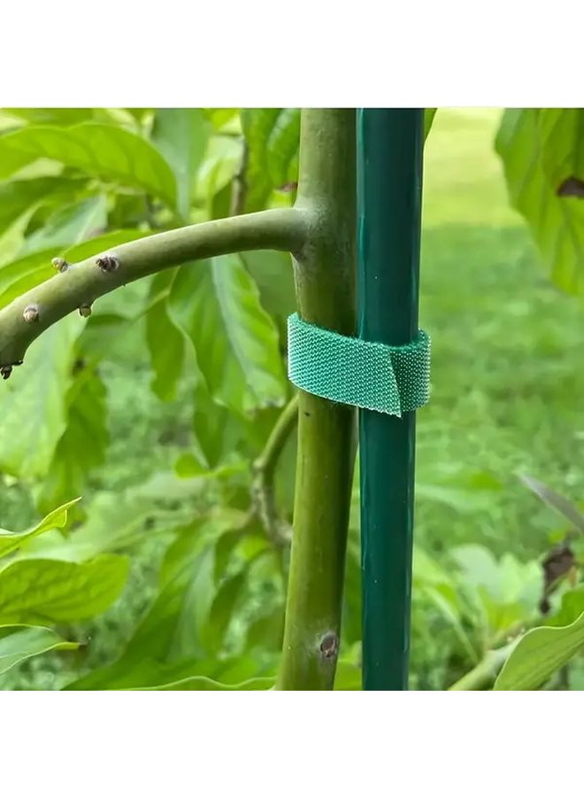 2 Rolls Adjustable Self Adhesive Nylon Green Plant Ties for Climbing Plants Flowers Reusable Rope Alternative Indoor Outdoor Use Green - Image 5