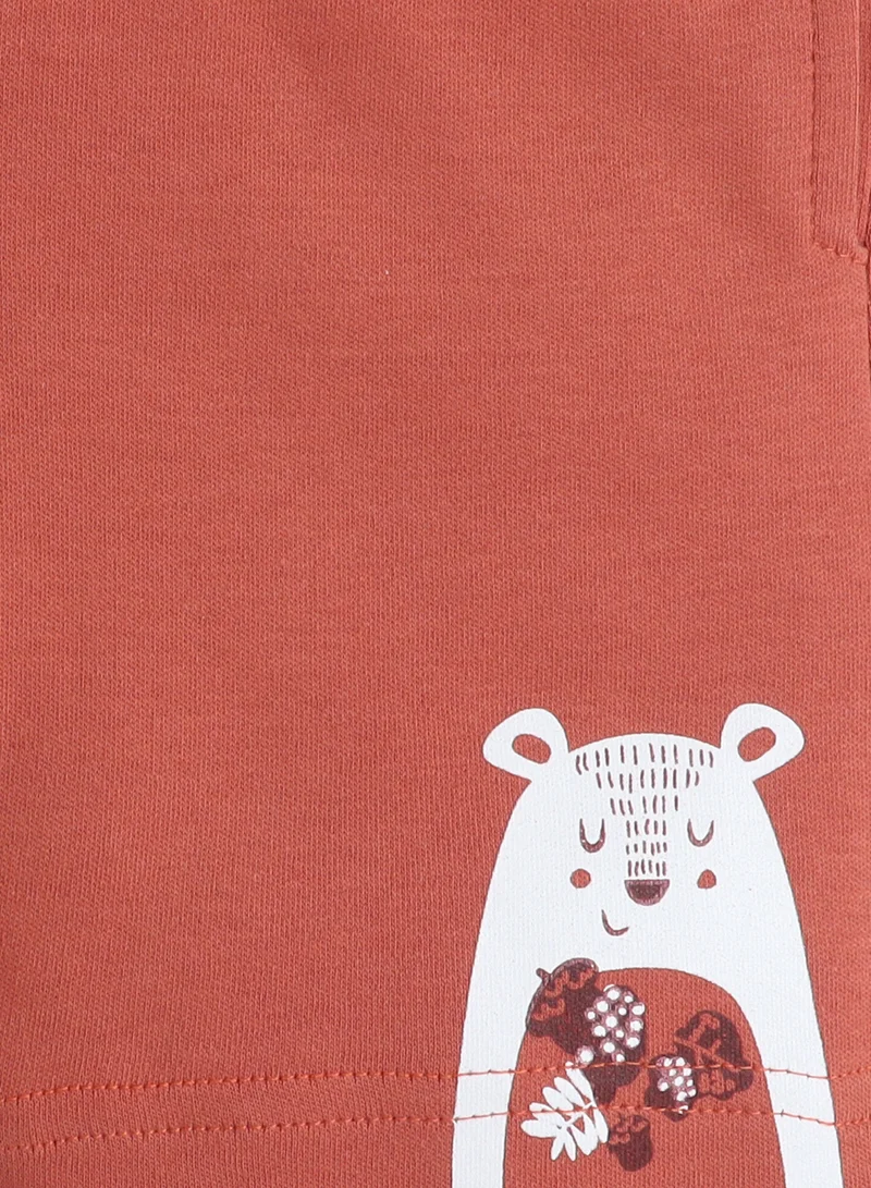 victor and jane Victor and  Jane Boys' 2pcs Casual Summer Cute Panda Print Round Neck T-Shirt and Shorts Set