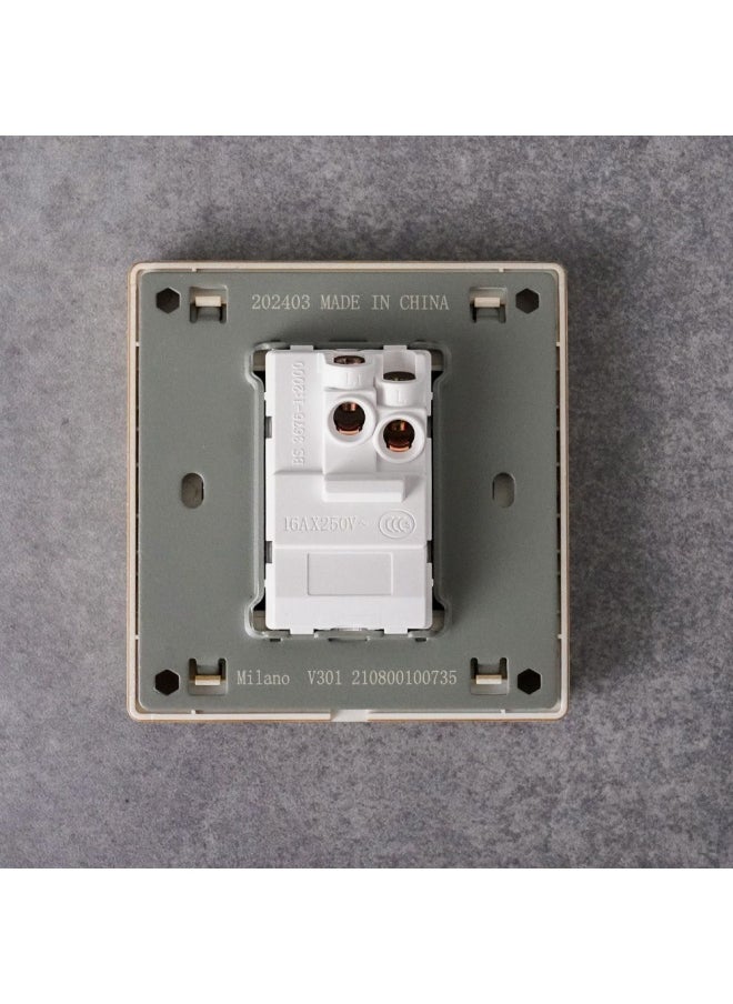 DANUBE HOME Milano 10A 1G 1W Switch Electrical Switches Sockets Outlets For Home Appliances Office Hotel Conventional Construction Project Aura Gld  - Image 2