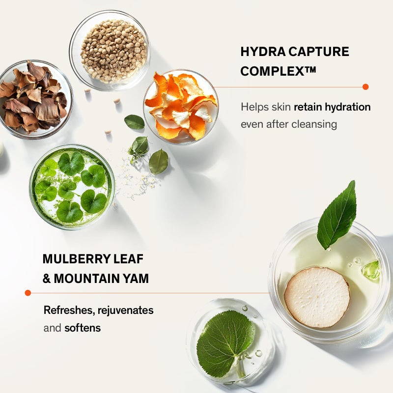 Sulwhasoo رغوة تنظيف لطيفة من سولواسو – جل إلى رغوة مرطب يومي لتنظيف الوجه بمكونات عشبية كورية يزيل المكياج والأوساخ والشوائب، ينعش وينعم البشرة غسول وجه للعناية بالبشرة الكورية - Image 4