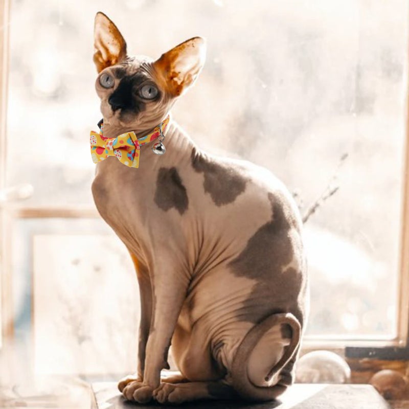 🐾 طوق قط مزين بعقدة قوس صفراء مع قابلية التعديل - Image 5