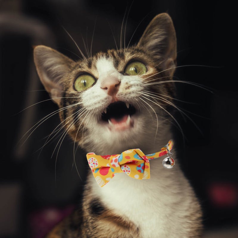 🐾 طوق قط مزين بعقدة قوس صفراء مع قابلية التعديل - Image 2