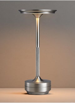 Silver 01