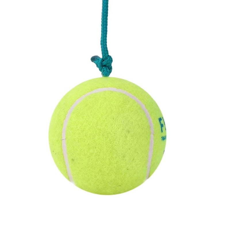 DECATHLON Cricket Training Tennis Ball TRB100 Easy to Learn & Practice - Image 4