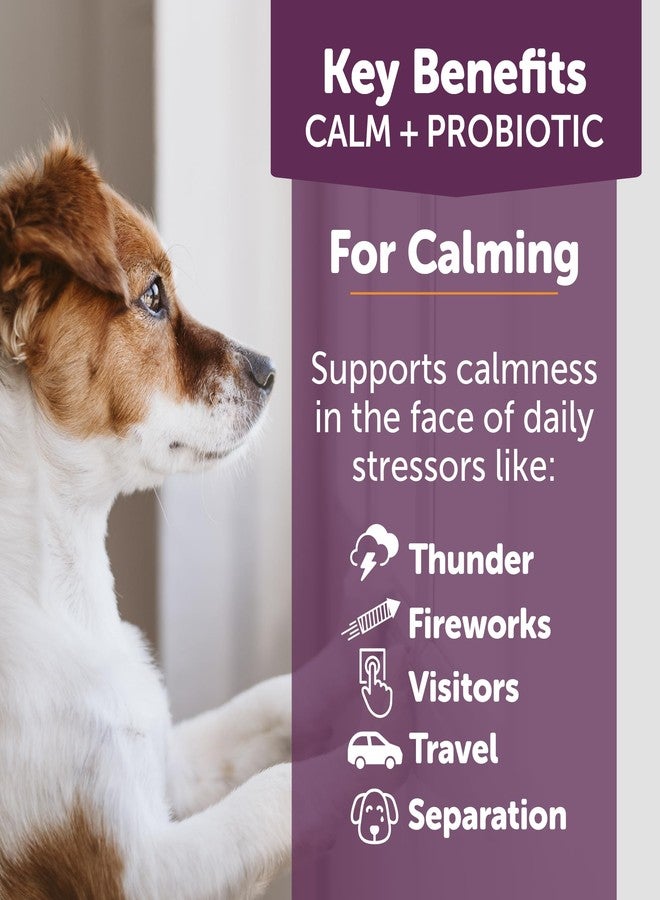 ThunderBites Calm + Probiotics for Dogs Daily Supplement Soft Chews, Supporting Dog Digestive & Gut Health with Probiotics, Prebiotics & Postbiotics + Calming Support for Daily Stressors, 90 Count - Image 3