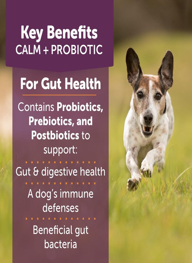 ThunderBites Calm + Probiotics for Dogs Daily Supplement Soft Chews, Supporting Dog Digestive & Gut Health with Probiotics, Prebiotics & Postbiotics + Calming Support for Daily Stressors, 90 Count - Image 2