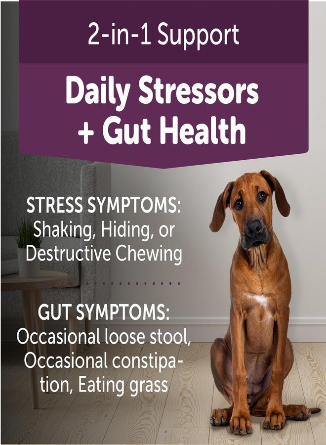 ThunderBites Calm + Probiotics for Dogs Daily Supplement Soft Chews, Supporting Dog Digestive & Gut Health with Probiotics, Prebiotics & Postbiotics + Calming Support for Daily Stressors, 90 Count - Image 5