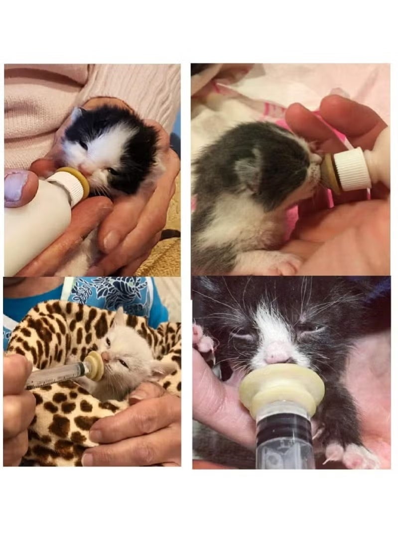 Pet Feeding Syringe Set with Pacifier, Silicone Feeding Tool for Kittens, Newborn Cats, Dogs, Small Animals, Rabbits, Feeding Syringes, Liquid Syringes, Kitten Feeding Products, Replacement Nipples for Rabbits, Small Animals, Squirrels, Mini Cat Bottles - Image 4