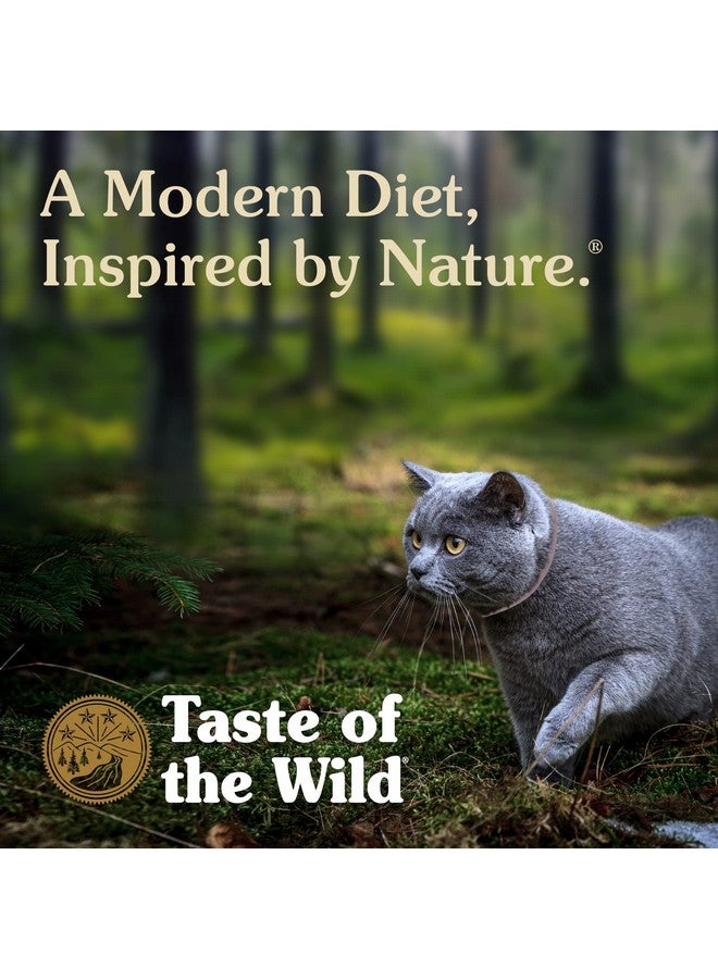 تيست أوف ذا وايلد وصفة كانيون ريفر للقطط مع سمك السلمون المرقط والسلمون في المرق 5.5 أونصة (عبوة من 24 قطعة) - Image 3