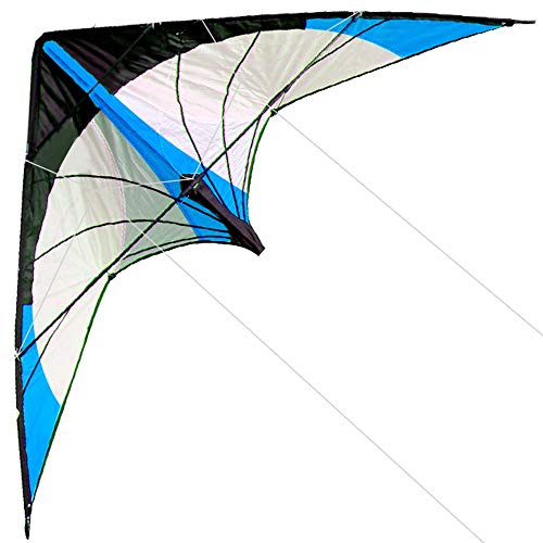 HENGDA KITEUpgrade Star Rhyme 48 Inch Dual Line Stunt Kite for Kids and AdultsOutdoor SportsBeach and Fun Sport KiteHandleLineand Bag Included - Image 1
