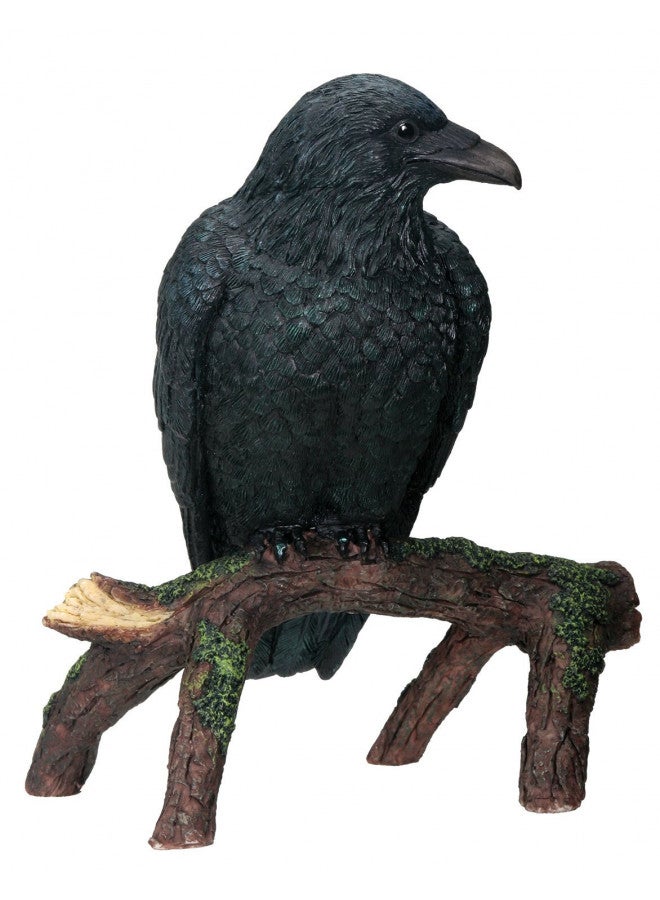 SUMMIT YTC Raven - Collectible Figurine Statue Sculpture Figure Crow Bird Model