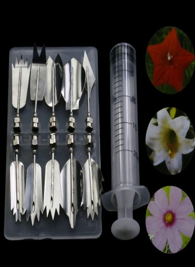 HOMETIC Stainless Steel 3D Gelatin Jelly Cake Art Tools with Syringe Nozzles Perfect for Food Decorating Baking Accs. & Cake Decorating (F) - Image 4