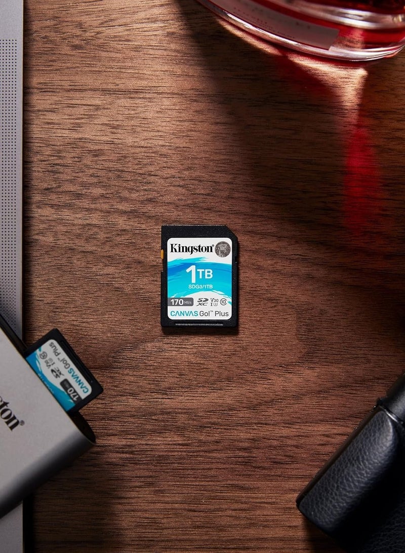 كينغستون بطاقة ذاكرة Kingston Canvas Go! Plus SDXC بسعة 256 جيجابايت – فئة 10، UHS-I U3، سرعة قراءة تصل حتى 170 ميجابايت/ثانية - Image 3