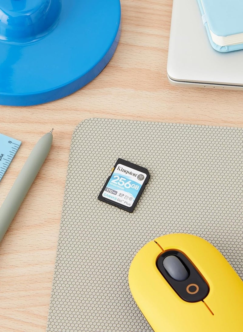 كينغستون بطاقة ذاكرة Kingston Canvas Go! Plus SDXC بسعة 256 جيجابايت – فئة 10، UHS-I U3، سرعة قراءة تصل حتى 170 ميجابايت/ثانية - Image 4
