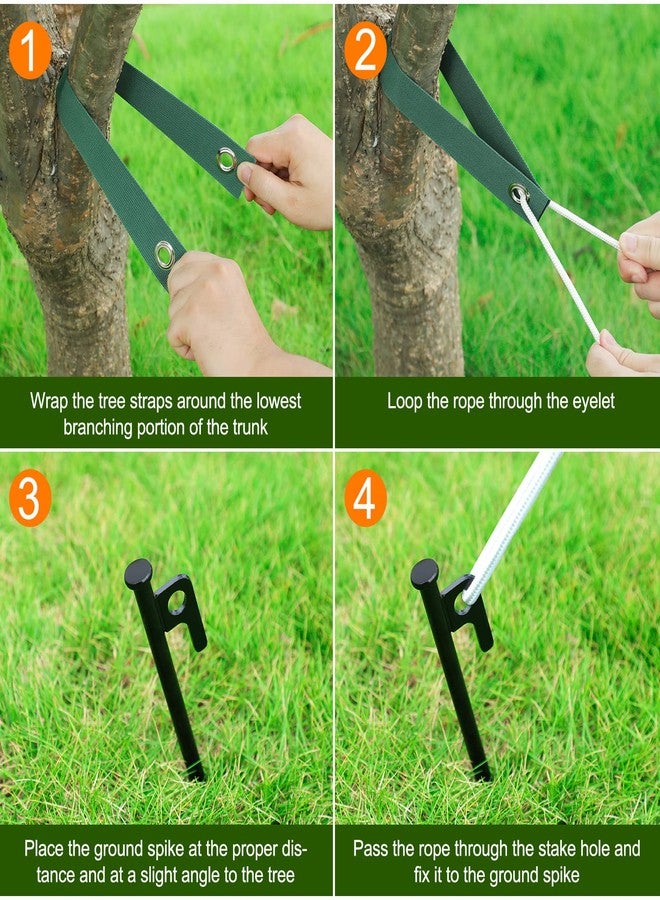 Jevrench Tree Stake Kits, Heavy Duty Tree Stakes and Supports Kits for Young Trees Against Bad Weather, 3 Pcs Tree Stake, 3 Pcs Tree Straps, 32.8 FT Rope - Image 2
