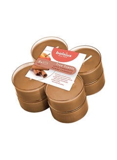 Pack of 8 True Scented Apple Cinnamon Maxi Light Candles With Cups