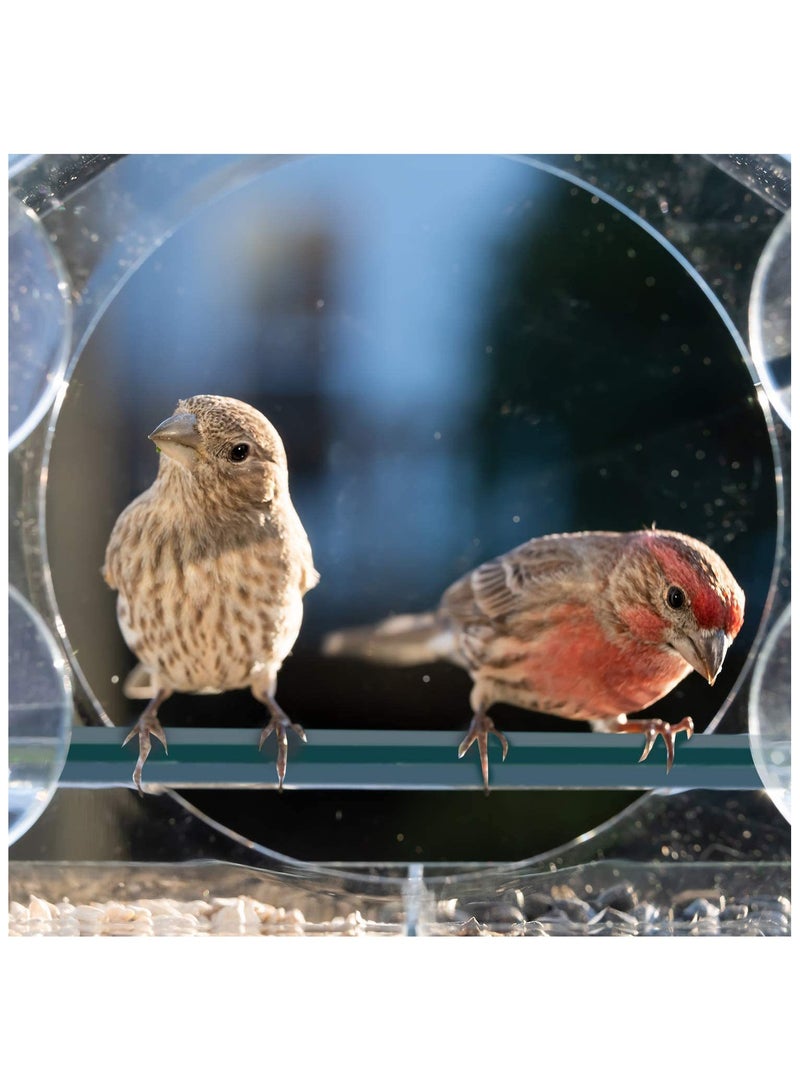 Anna Acrylic Transparent Outdoor Hanging Bird Feeder Tray - Image 4