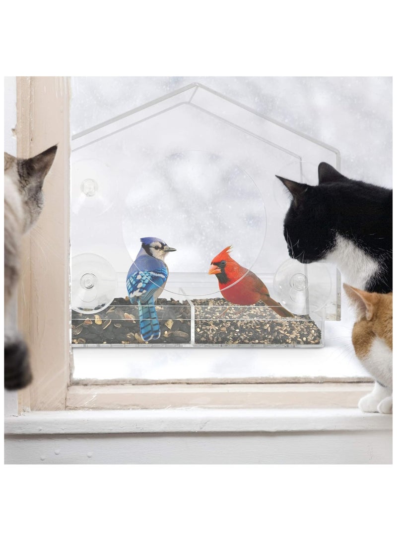 Anna Acrylic Transparent Outdoor Hanging Bird Feeder Tray - Image 5