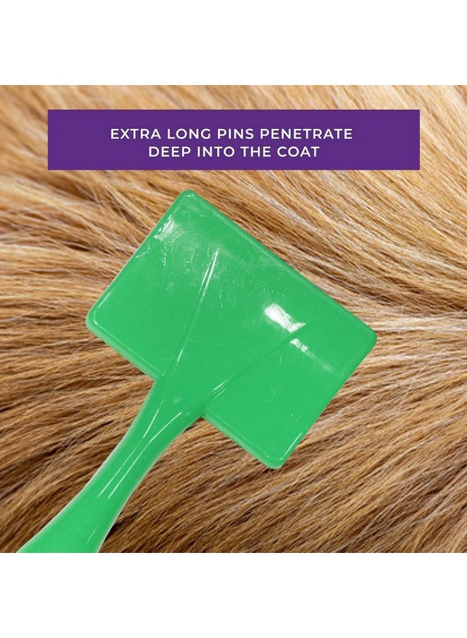 إيميلي بيتس مجموعة العناية بالشعر للكلاب والقطط والجراء والأرانب - فرشاة تنظيف ذاتية مع مفتاح ضغط، فرشاة إزالة شعر الكلاب للكلاب الصغيرة والمتوسطة الحجم (قد يختلف اللون، عبوة من قطعتين) - Image 4