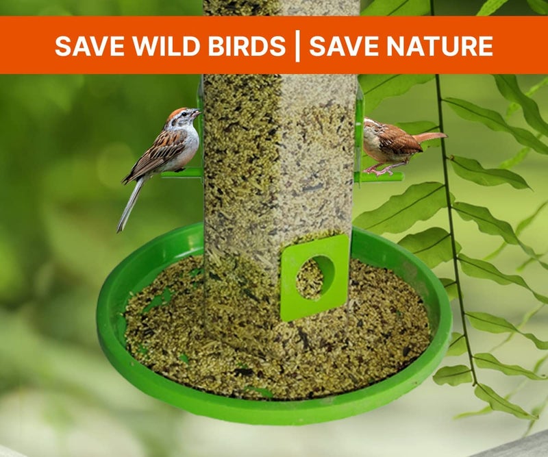 SpikeZone - Hanging Bird Feeder for Balcony I Outdoor Bird Food Feeder I 6 Feed Nozzles | 900gram Bird Food Capacity (Green, Pack of 2 Pcs) - Image 4